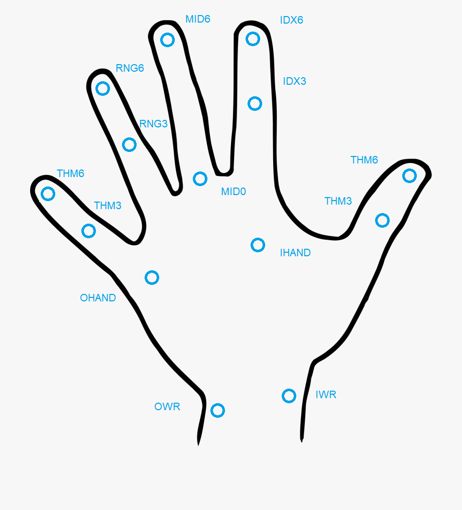 Location of markers on the left hand